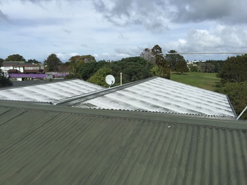 Roof Painting 1